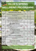 Spring Wellbeing Programme 2022-compressed