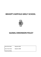 Global Dimension Policy 2025_28